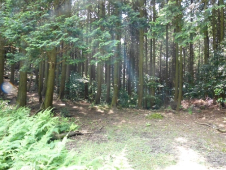 画像14